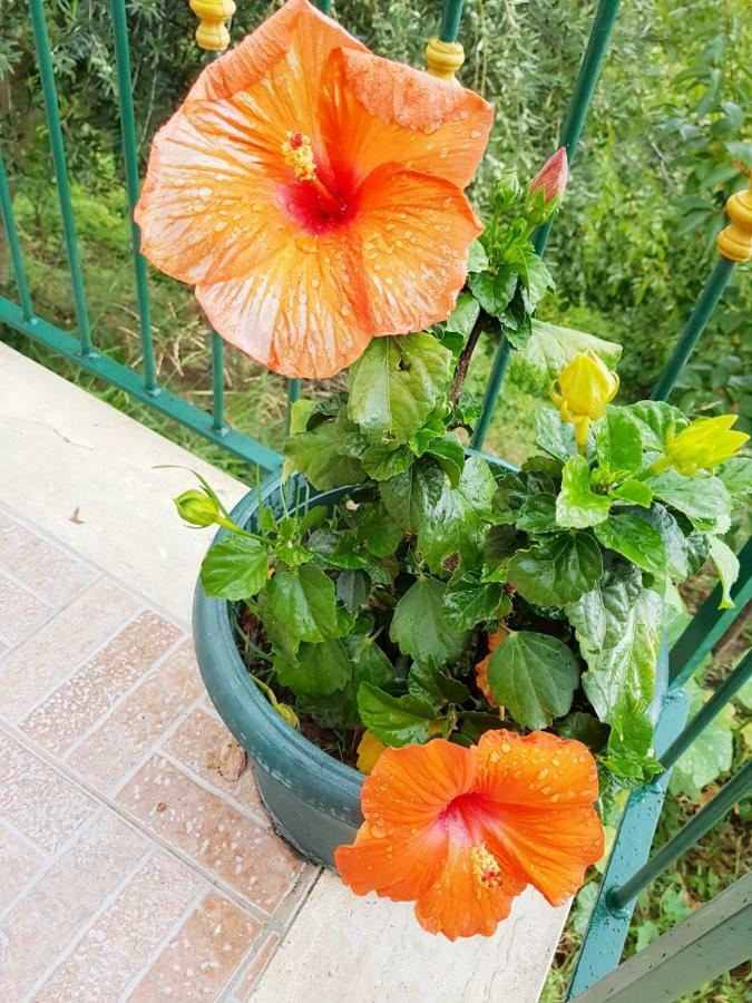 Casa Nives in Villa Emilia Vietri Esterno foto